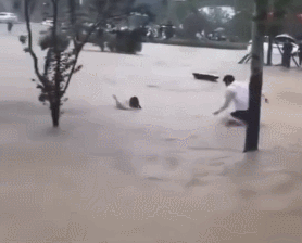 救援3.gif