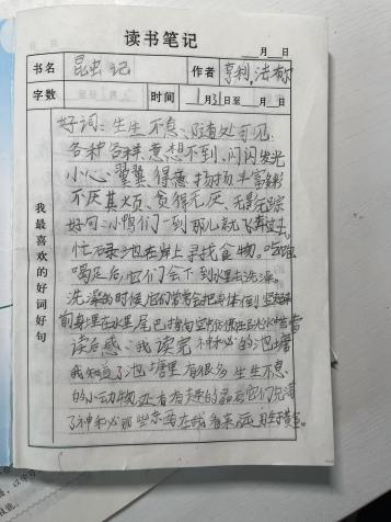 图片50.png