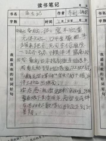 图片51.png